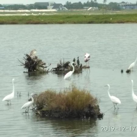 Hotel Bundala Park Weligatta 외부 사진